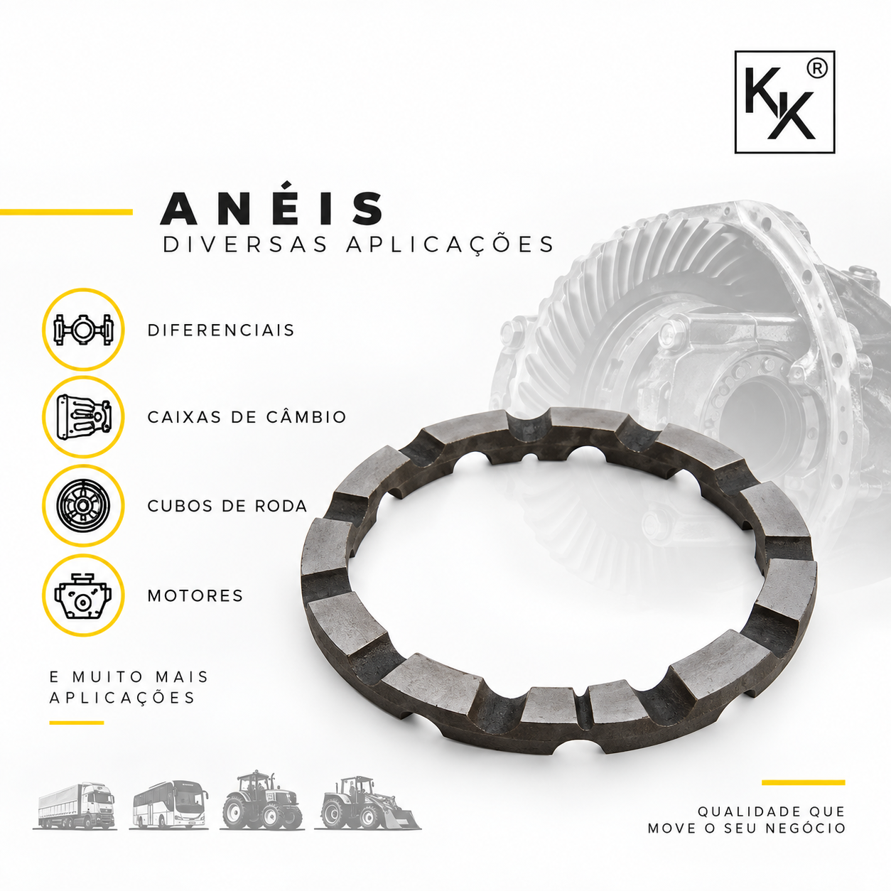 Anéis Bipartidos